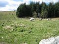 Aviemore-Fort William (78)